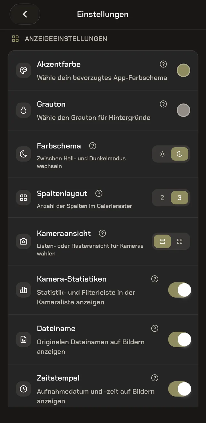Anzeigeeinstellungen mit Akzentfarbe, Farbschema und Spaltenlayout