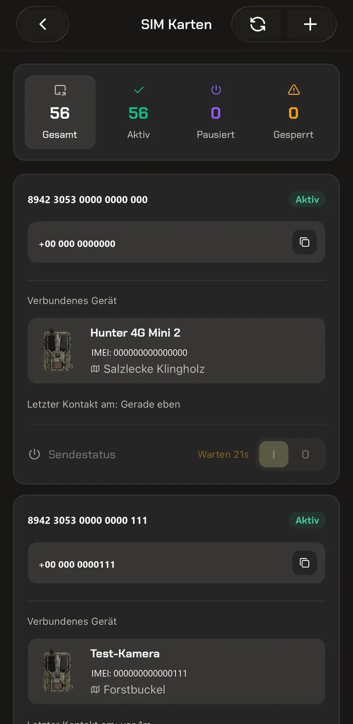 Übersicht aller SIM-Karten mit Status und verbundenem Gerät